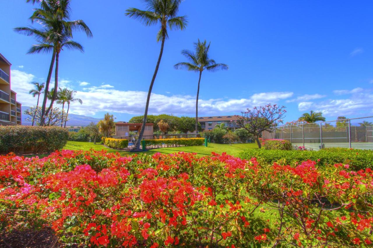 Apartamento Maui Vista 3101 Kihei Exterior foto